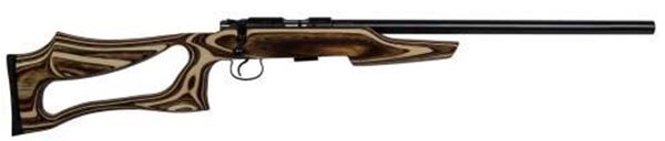 Picture of CZ 455 Varmint Evolution, .17 HMR Coyote Laminate Rifle - 02245
