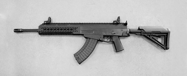 Picture of Firing Line Arms Modular Tactical Rifle