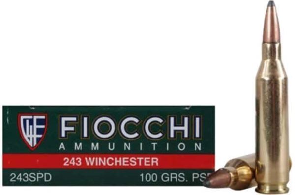 Fiocchi .243 Win Rifle Shooting Dynamics 100gr PSP - Box of 20