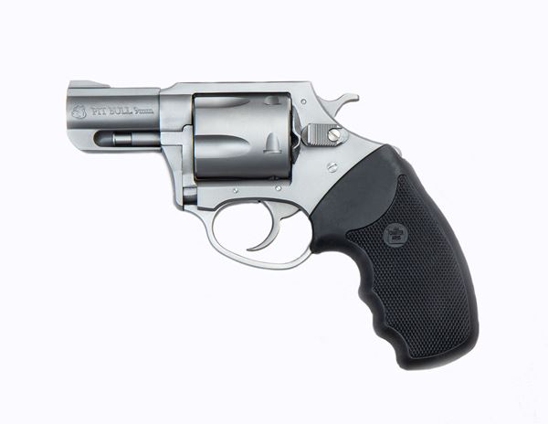 Picture of Charter Arms Pitbull® 9mm 5rd 2.2" Barrel Stainless Steel Revolver