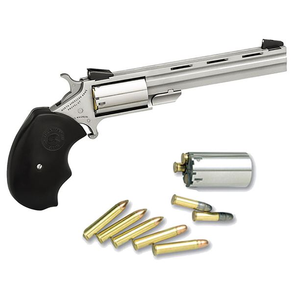 Picture of NAA-Mini Master Target, Single Action, 22LR/M Conversion, 4" Barrel, Fixed Sight, 5rd, CA
