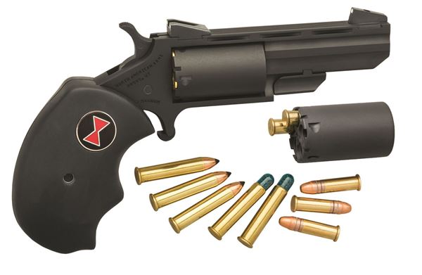 Picture of NAA- Black Widow, 22 LR/M Conversion, 2" Barrel, Fixed Sight, 5rd